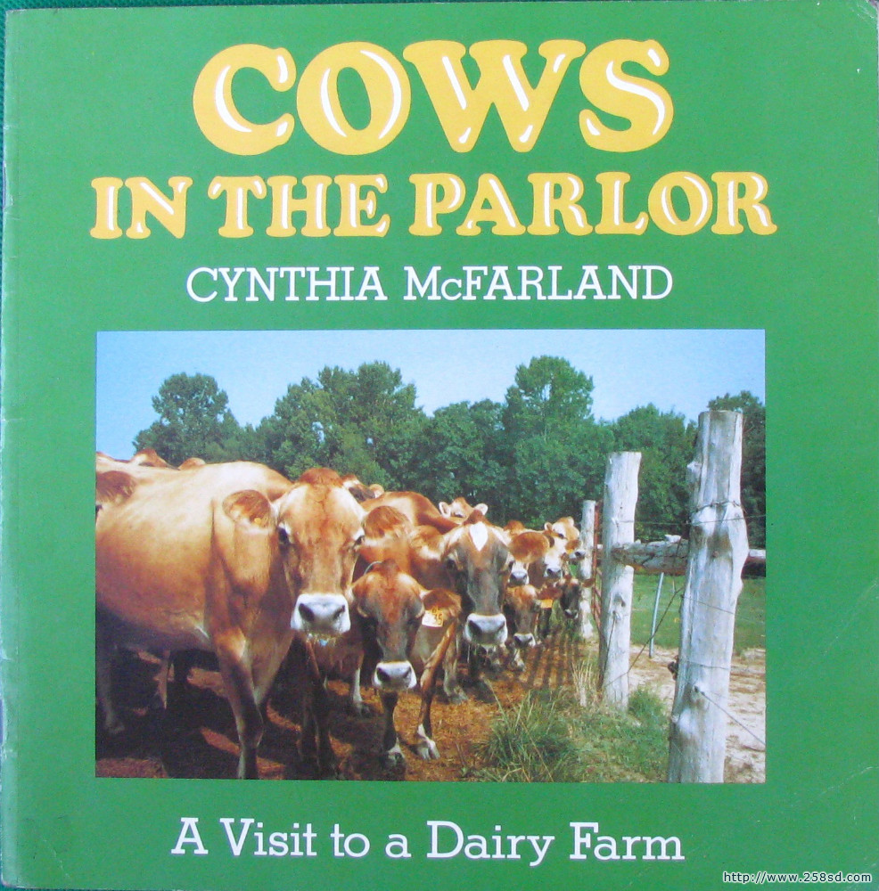 cows in the parlor: a visit to the dairy farm