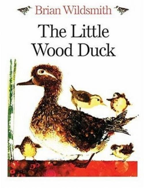 the little wood duck