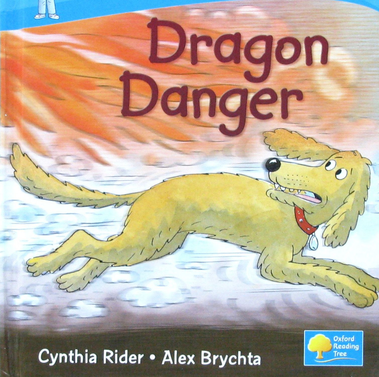 系列读物 dragon danger (read at home, level 3c)  (机器翻译:龙