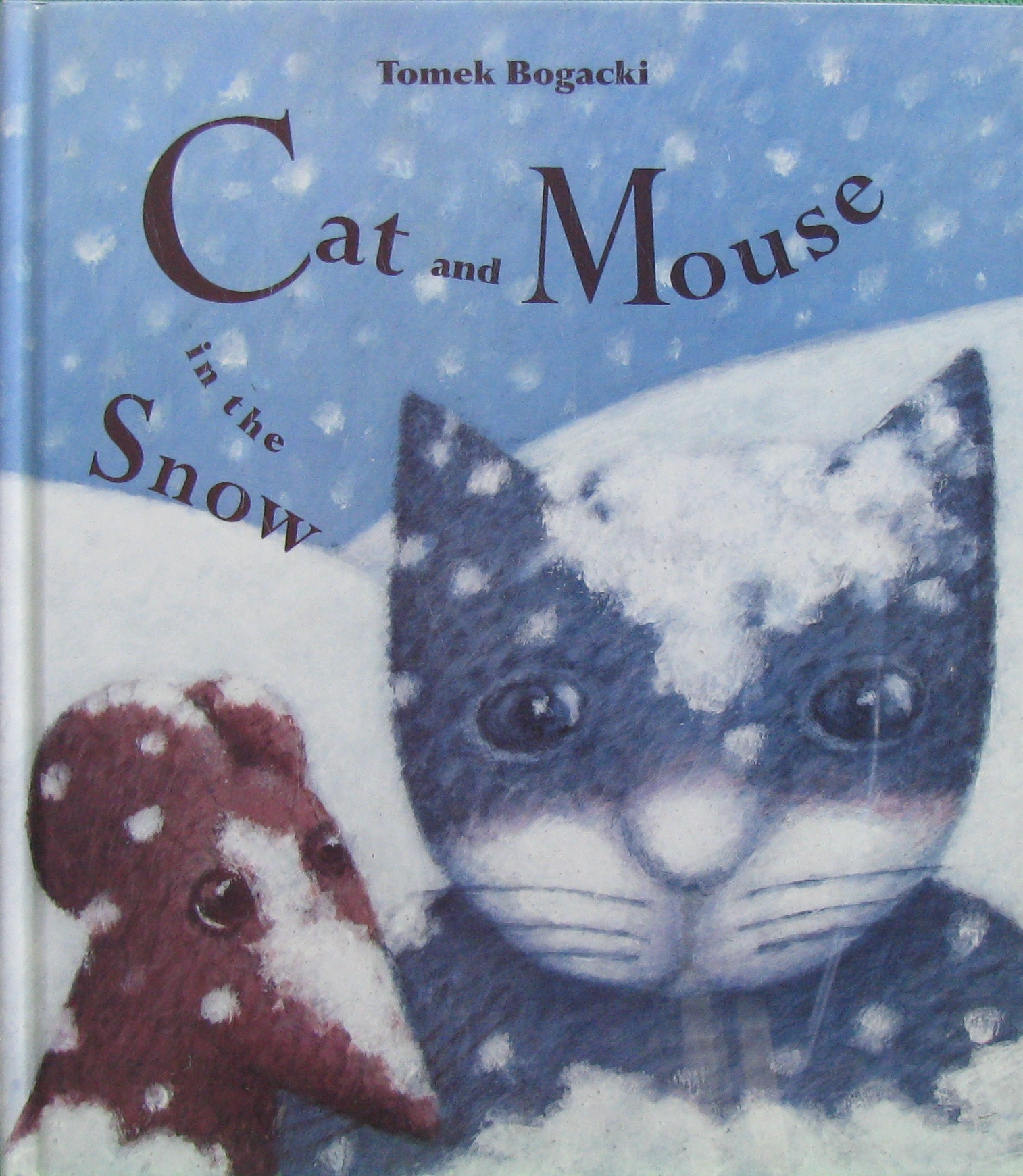 cat and mouse in the snow