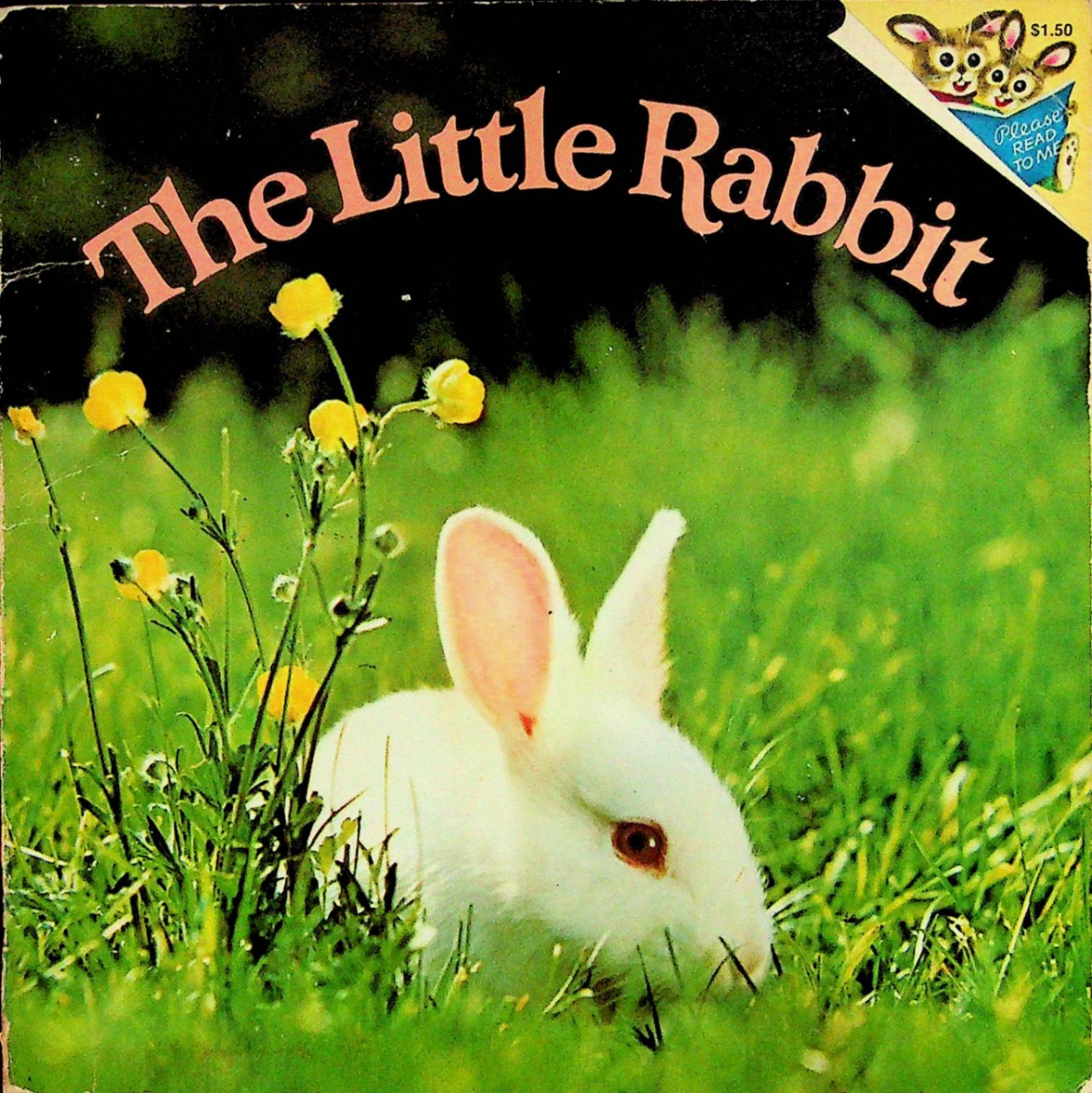 首页 进口图书 儿童图书 动物 兔 the little rabbit  (机器翻译:小