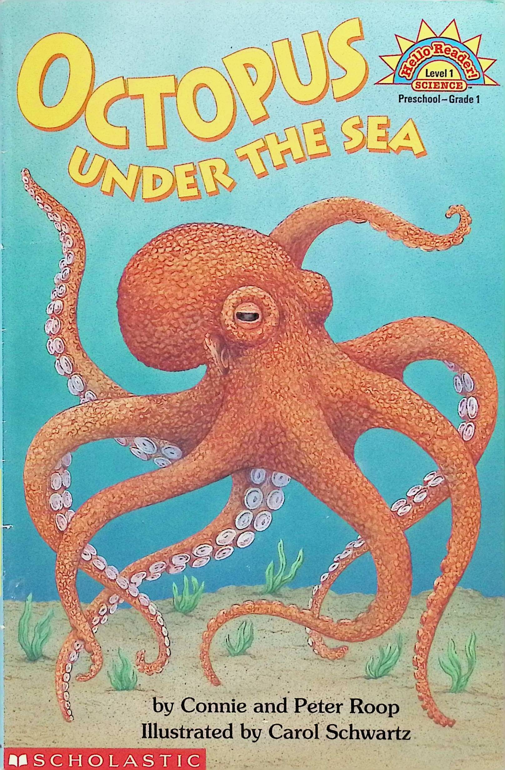 octopus under the sea