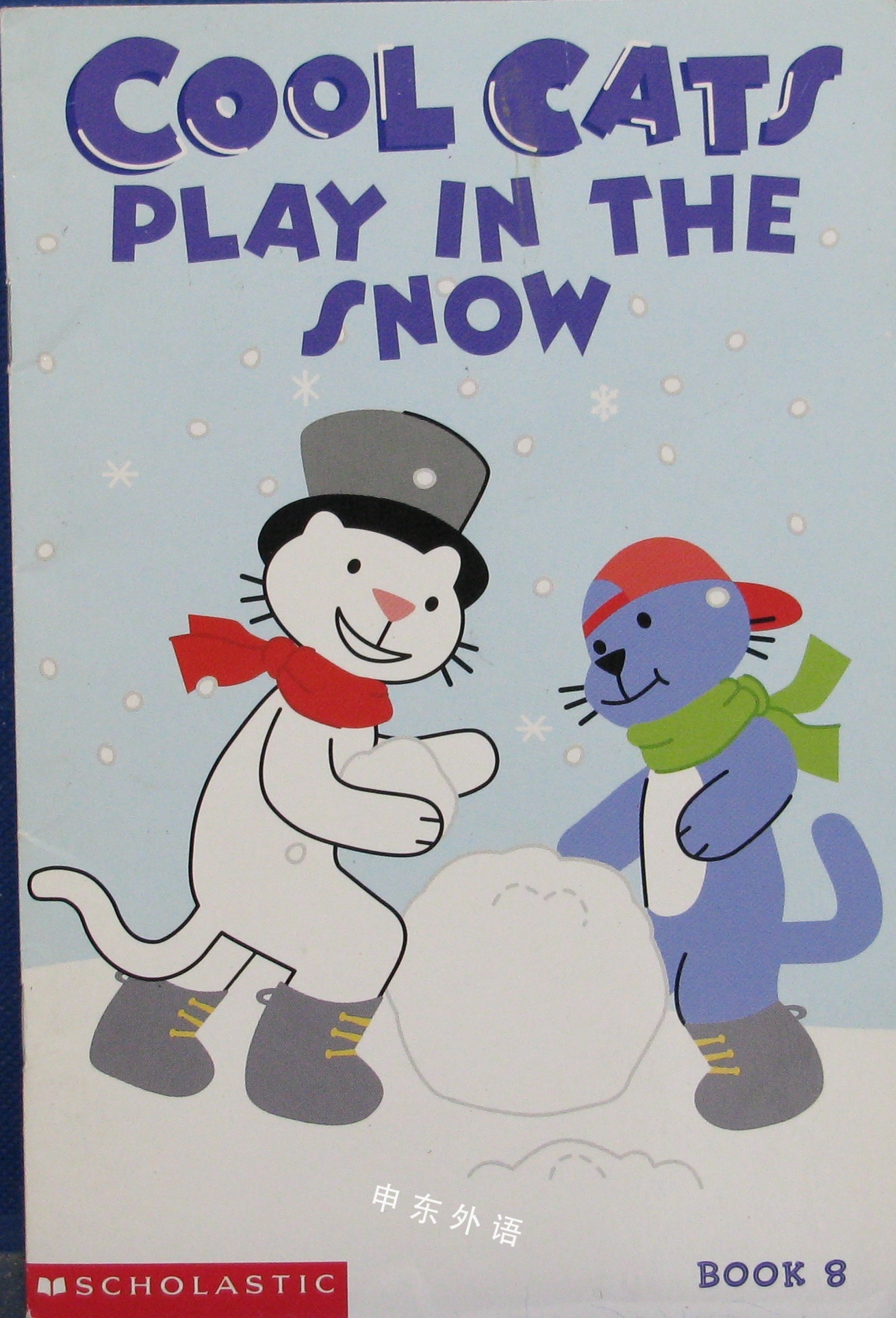 cool cats play in the snow