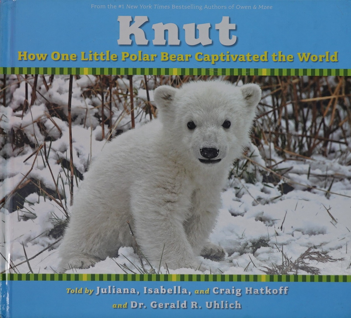 knut how one little polar bear captivated the world