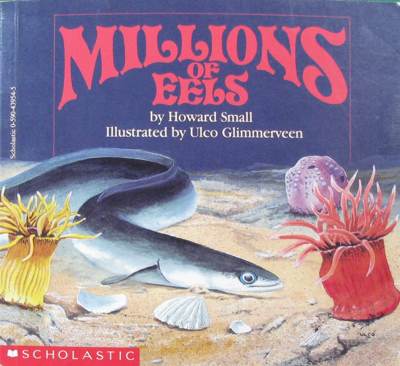 millions of eels