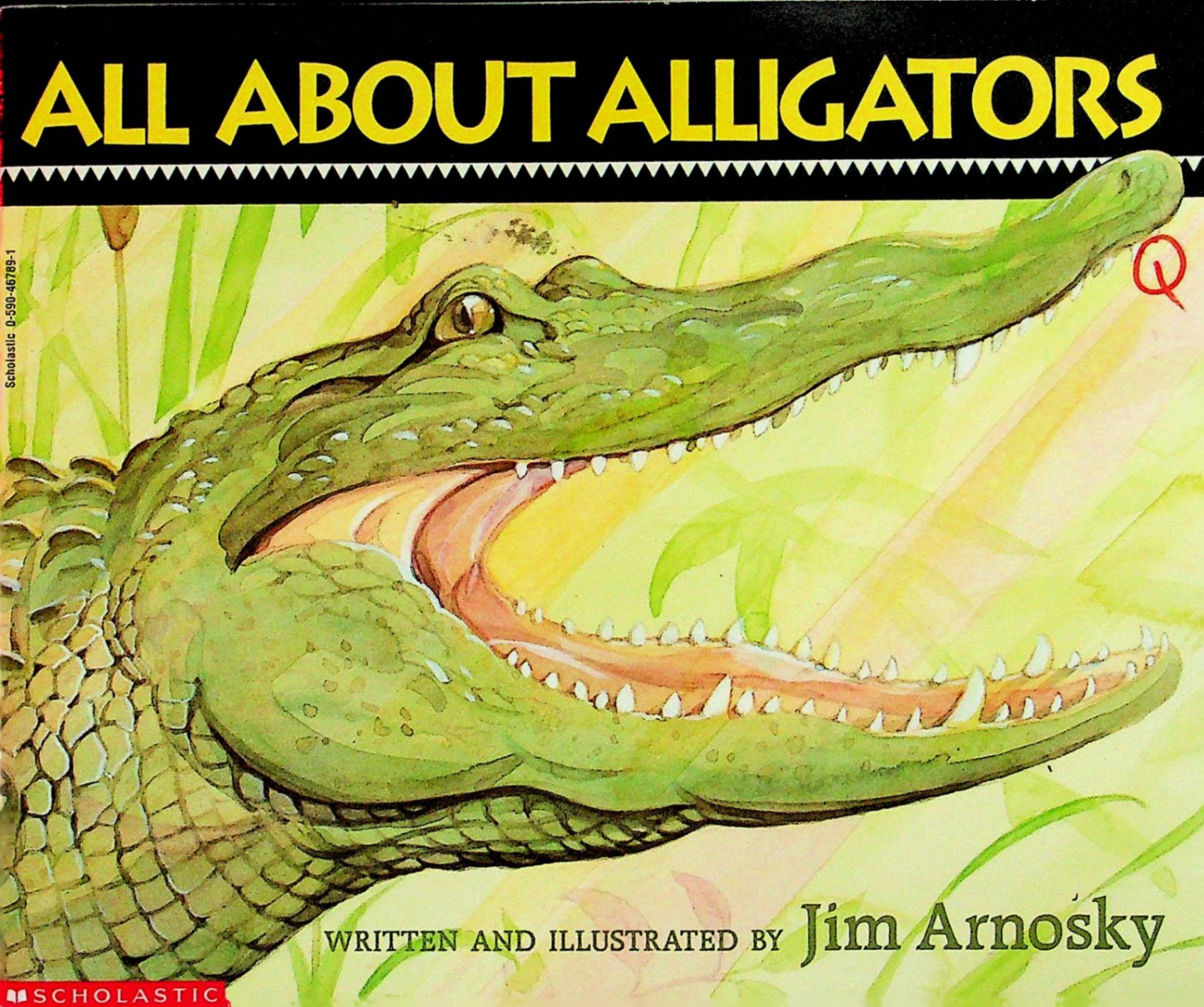 all about alligators all about series_短吻鳄和鳄鱼_动物_儿童图书