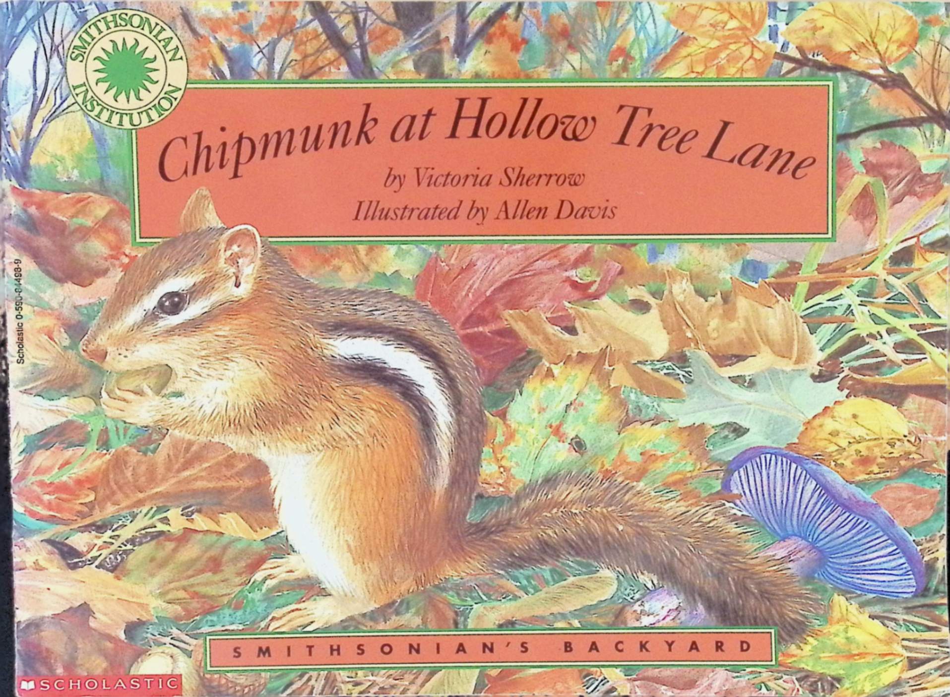 chipmunk at hollow tree lane