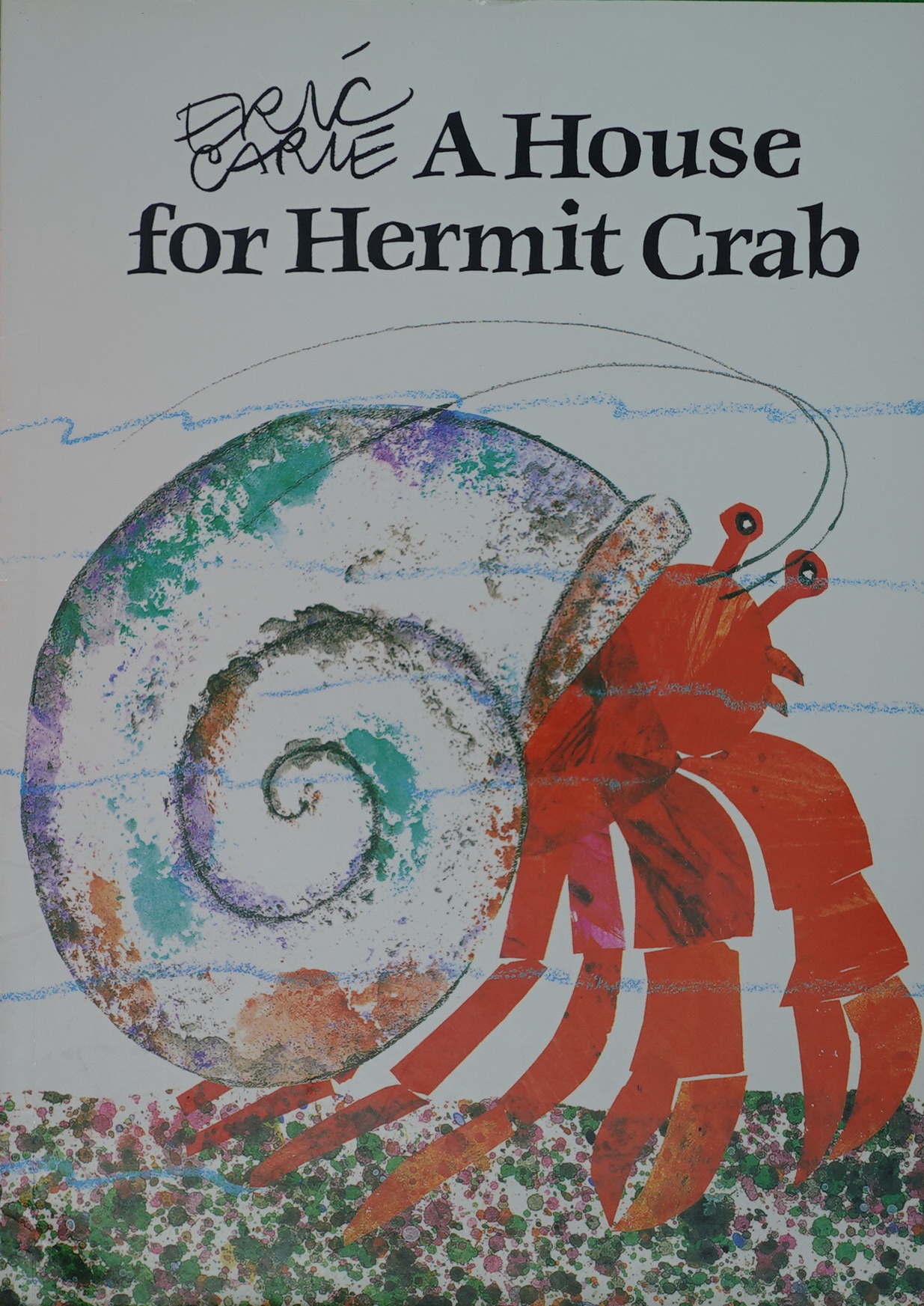 a house for hermit crab