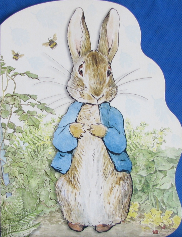 进口图书 儿童图书 作者与插画 b peter rabbit (机器翻译:比得兔)