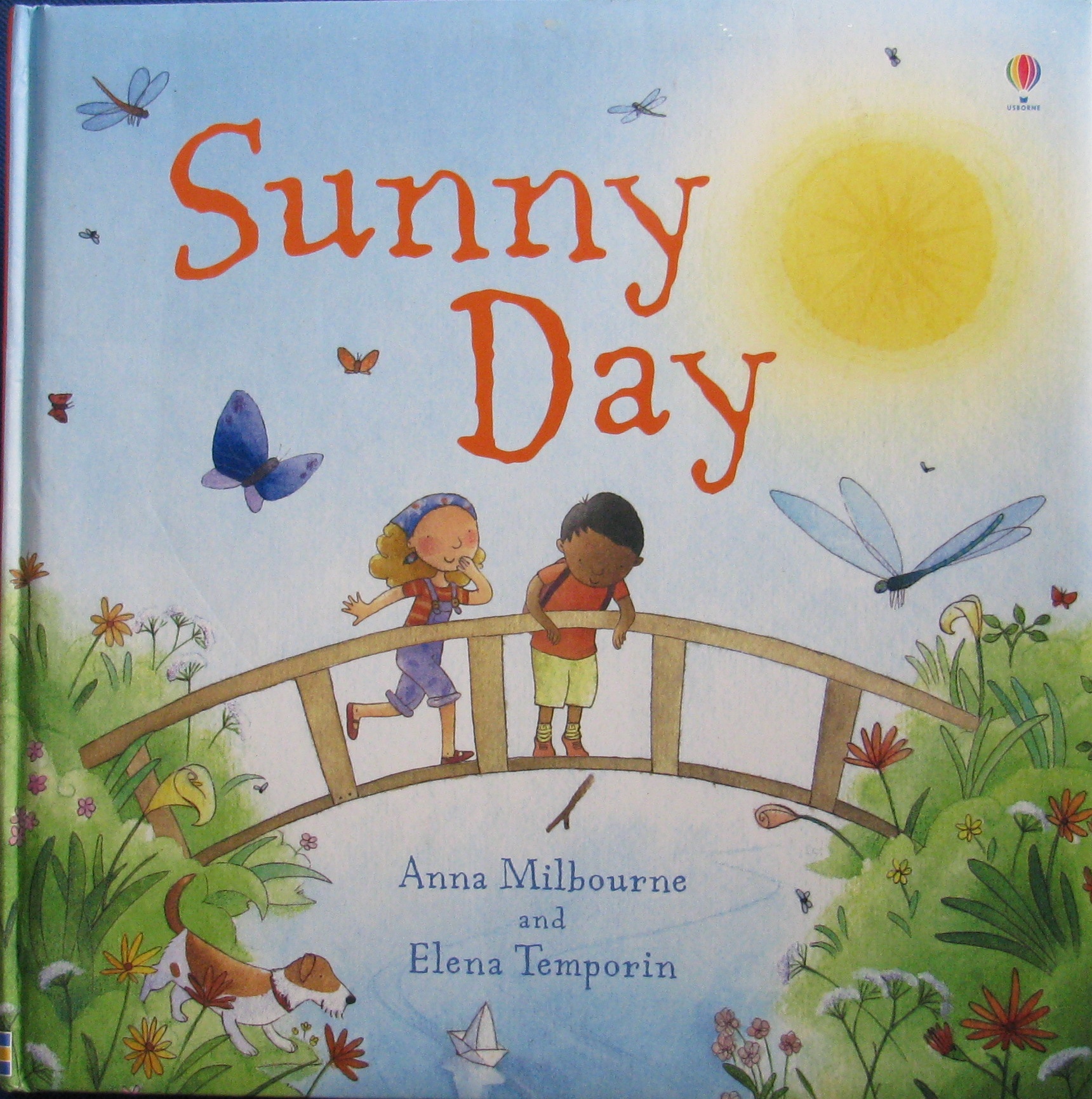 the sunny day (usborne picture storybooks)