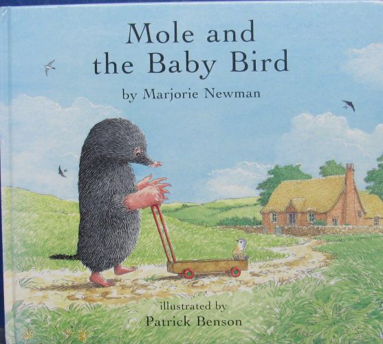 mole and the baby bird