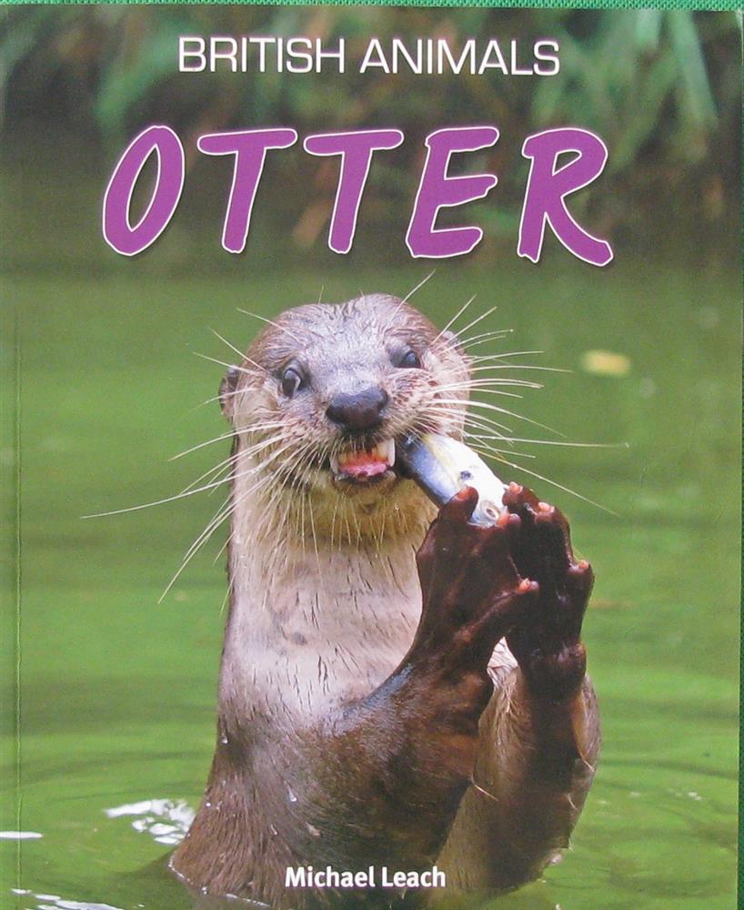 进口图书 儿童图书 动物 otter british animals  (机器翻译:水獭英国