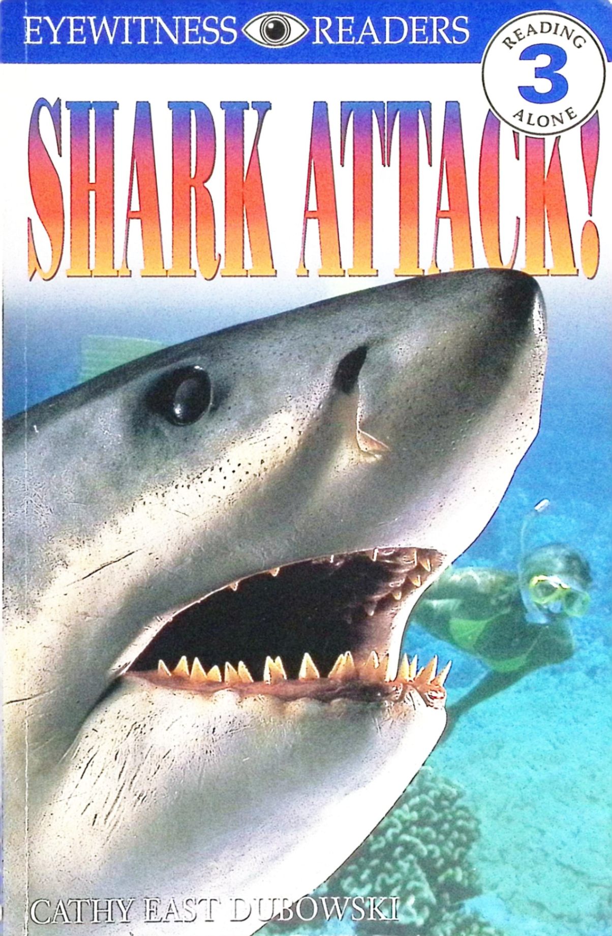 shark attack!