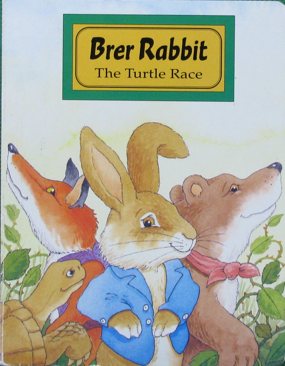 brer rabbit: the turtle race