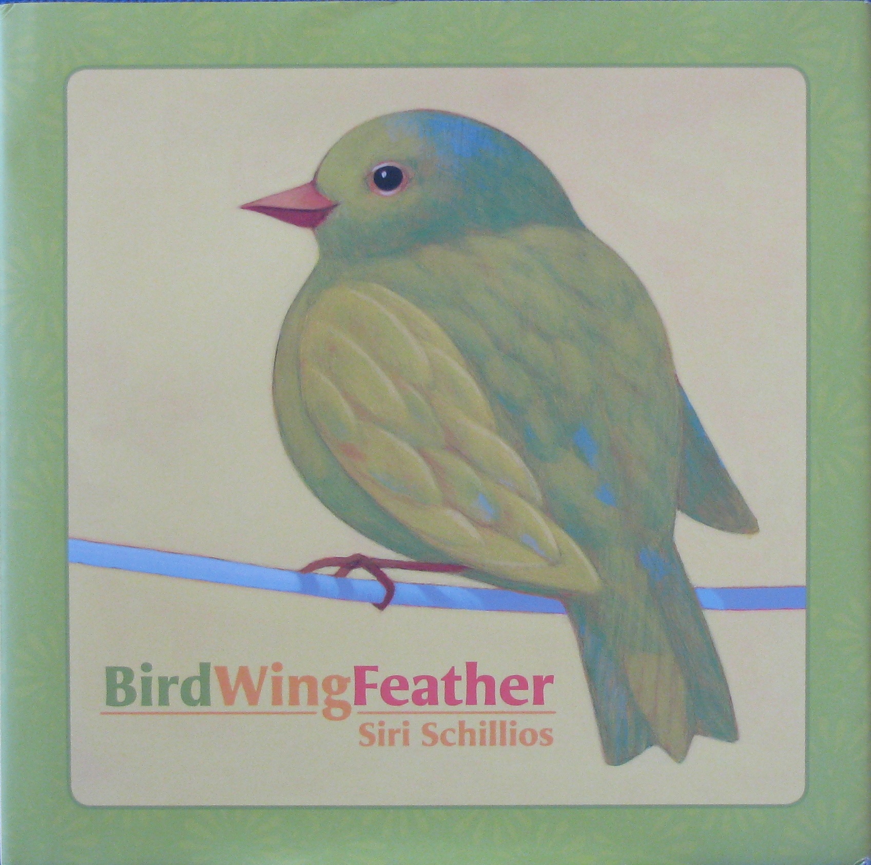 bird wing feather