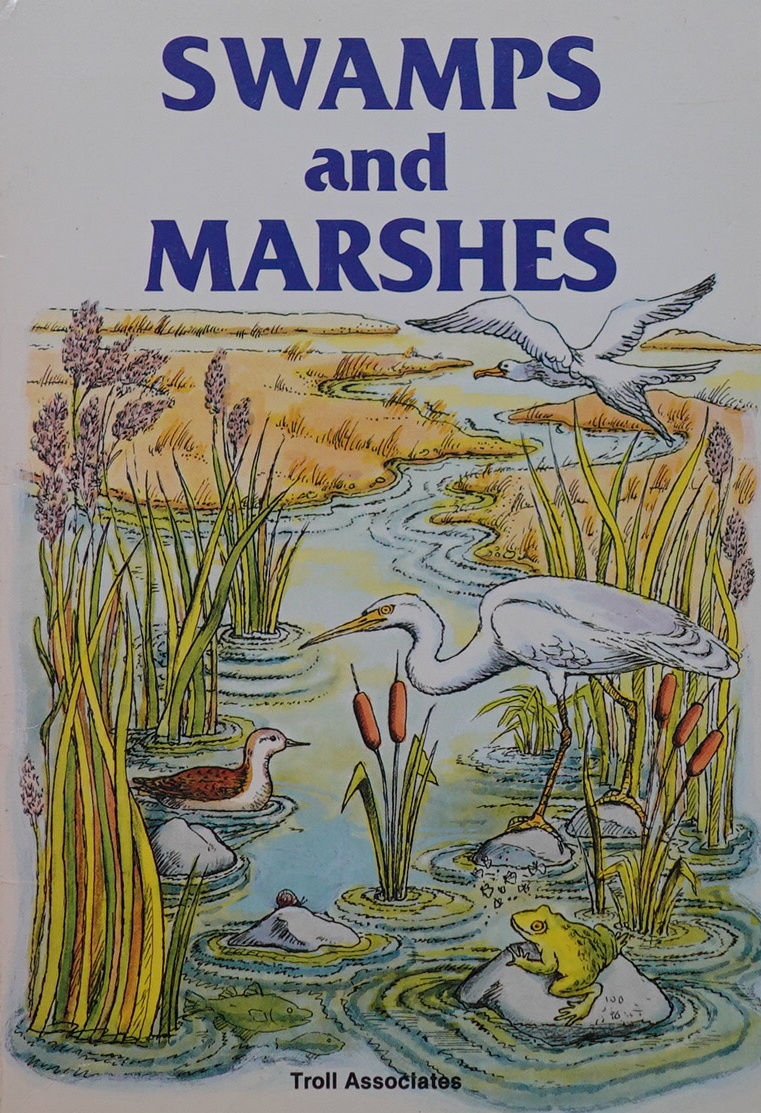 swamps and marshes (the world we live in)