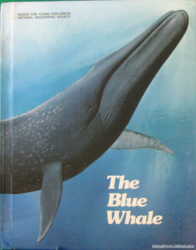 the blue whale: the story of big blue books for young explorers