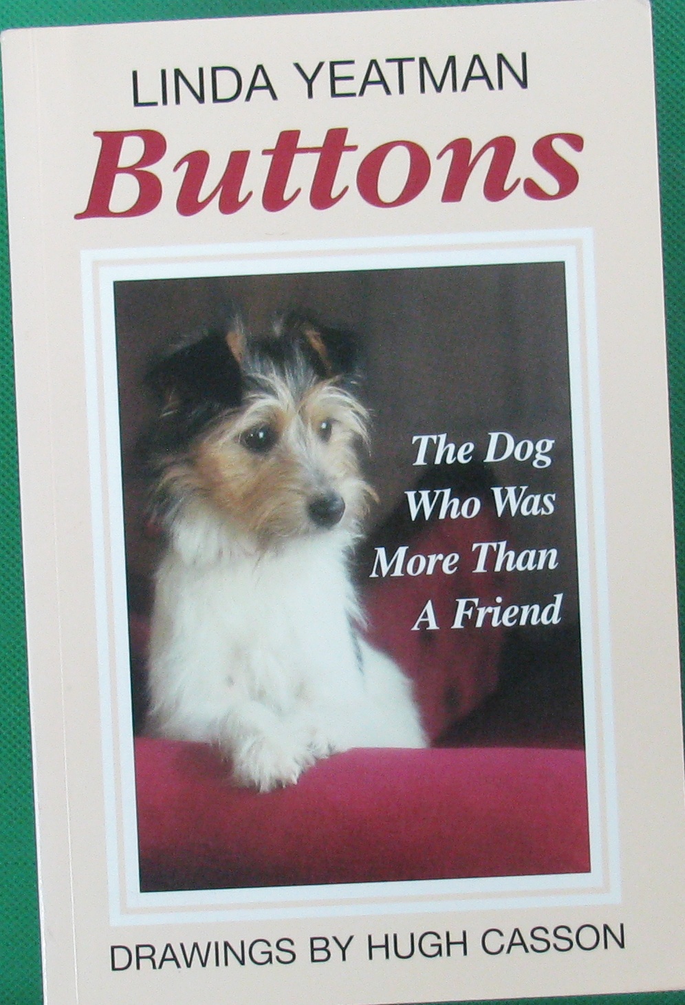 the dog who was more than a friend linda yeatman