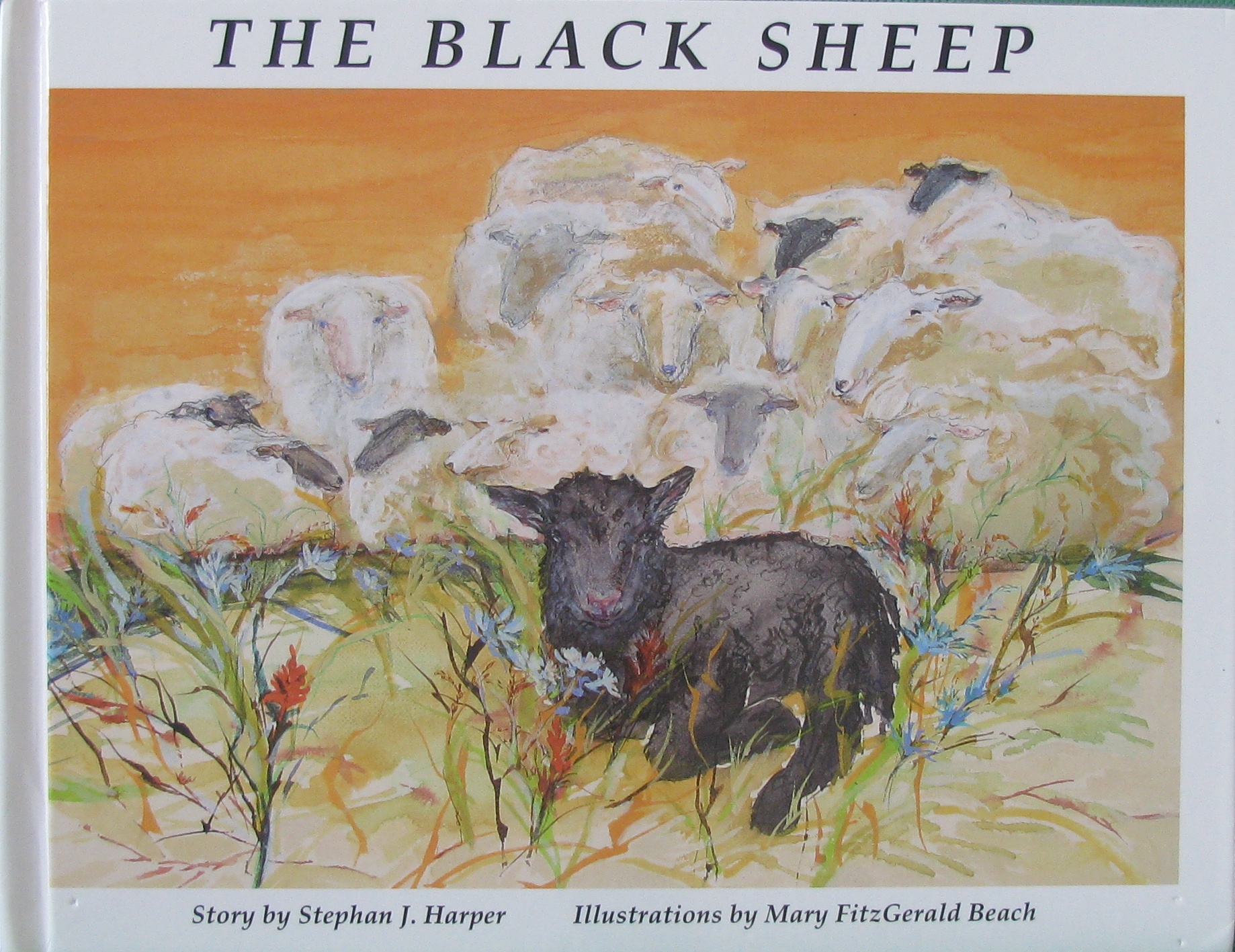 the black sheep