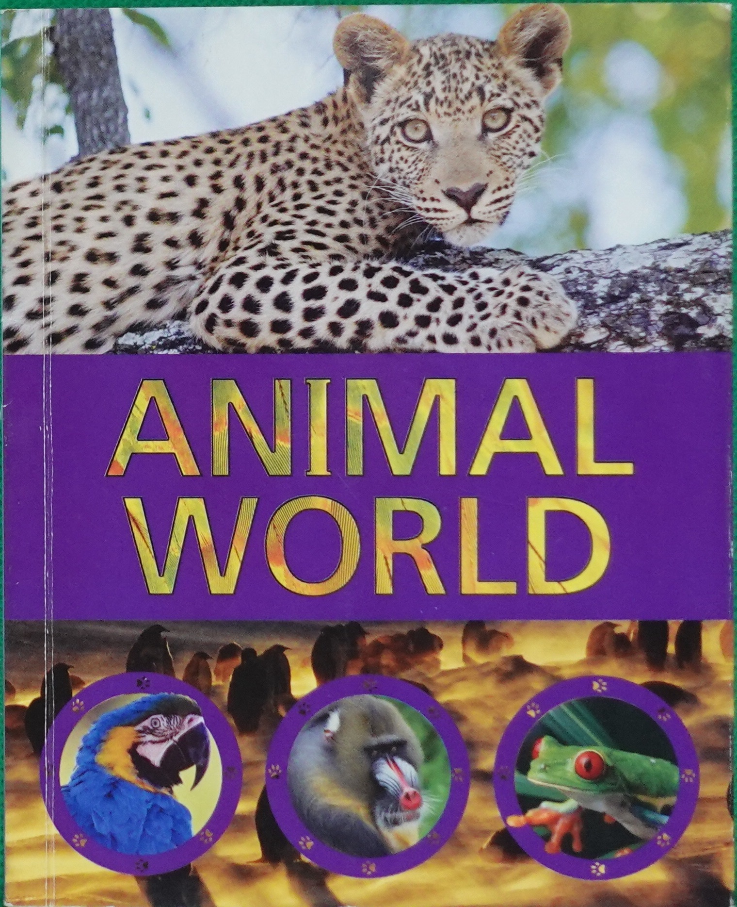 animal world