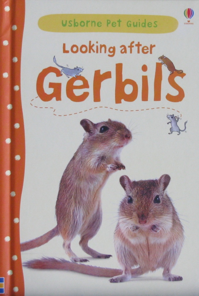 usborne pet guides :looking after gerbils