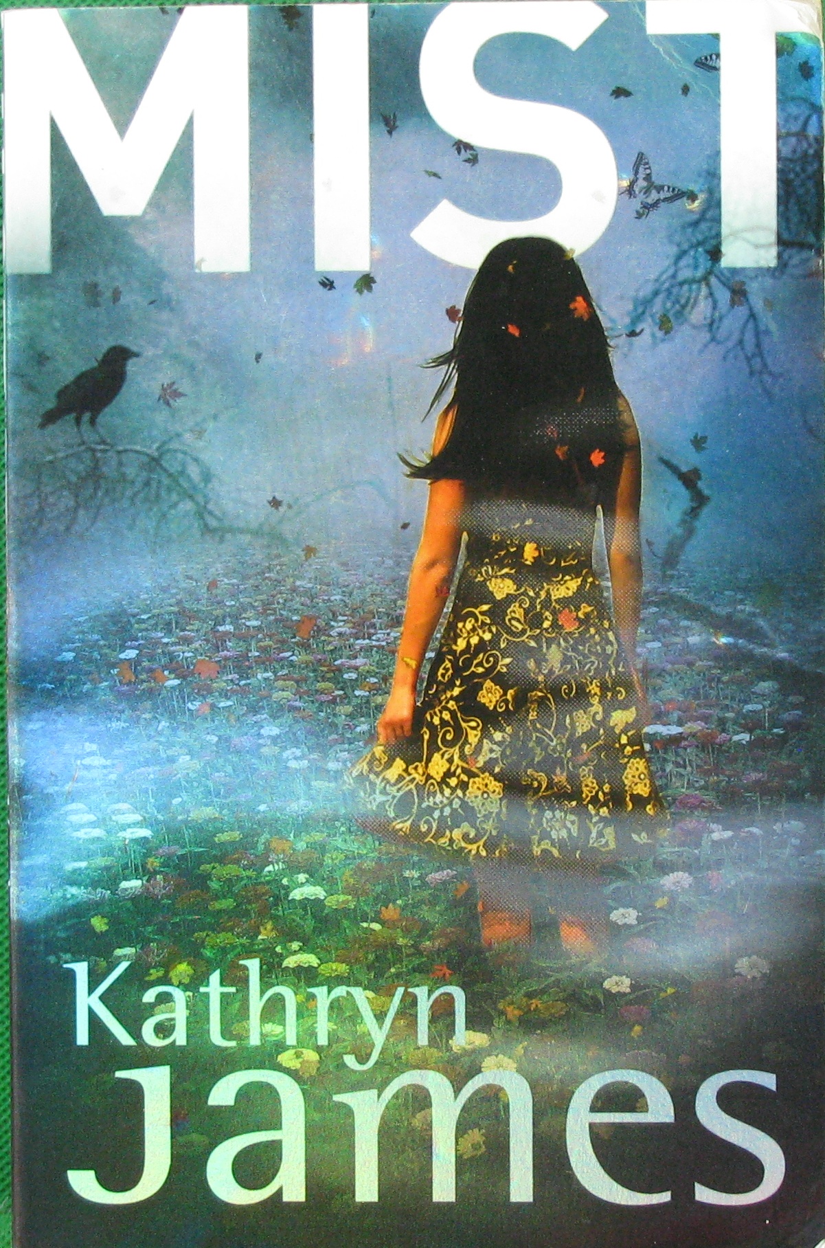 mist kathryn james