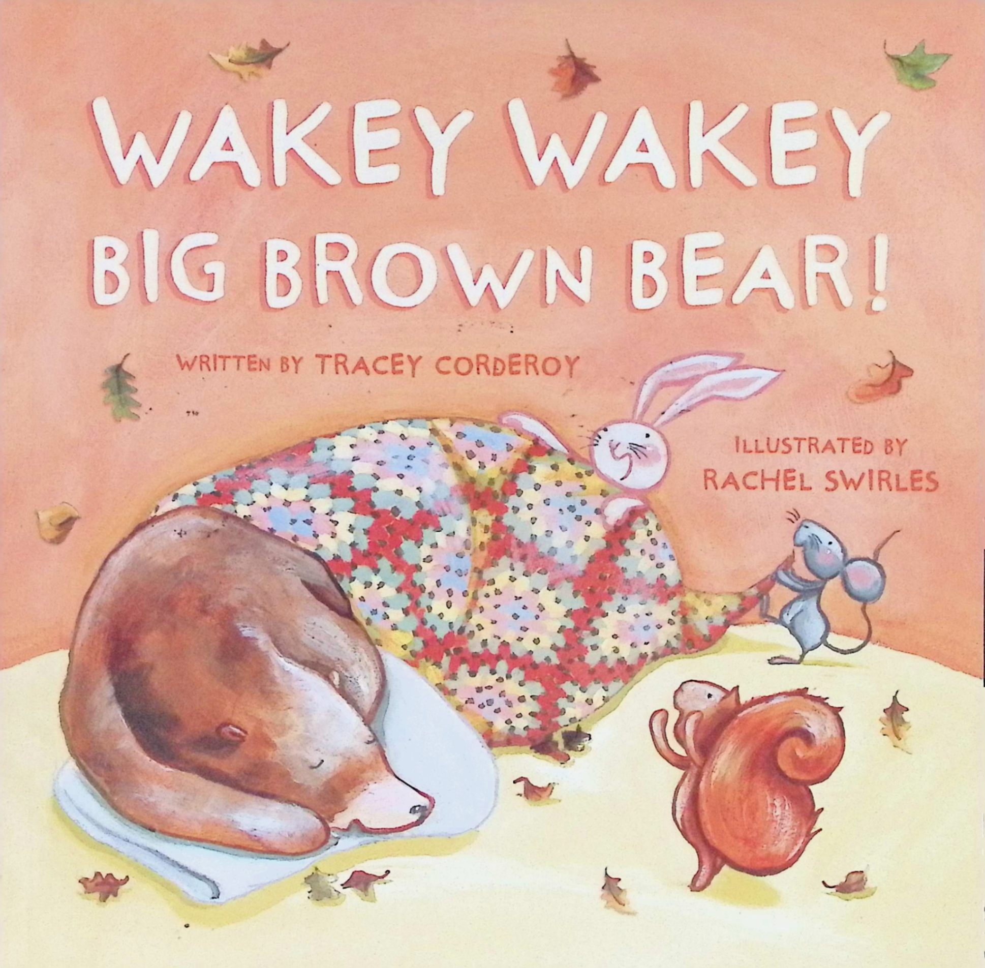 wakey wakey big brown bear (picture story book)