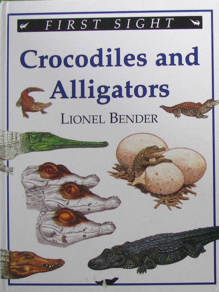 crocodiles and alligators