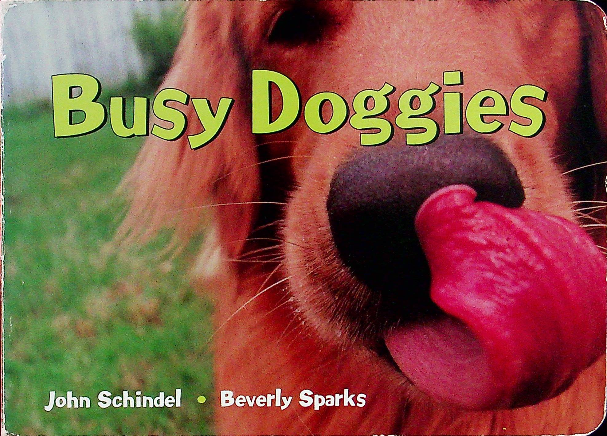 busy doggies!: a busy animals book (a busy book)