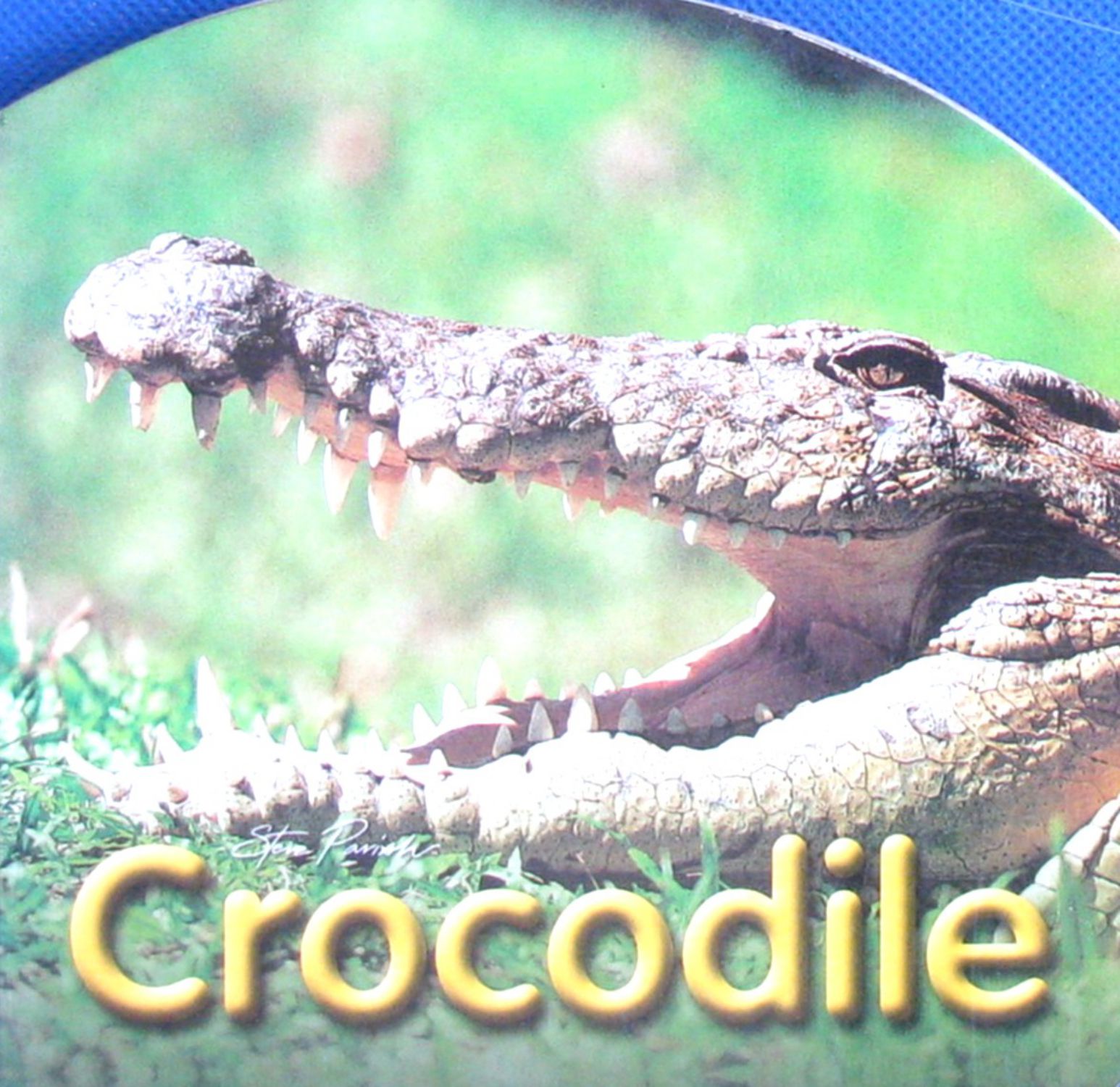 crocodile