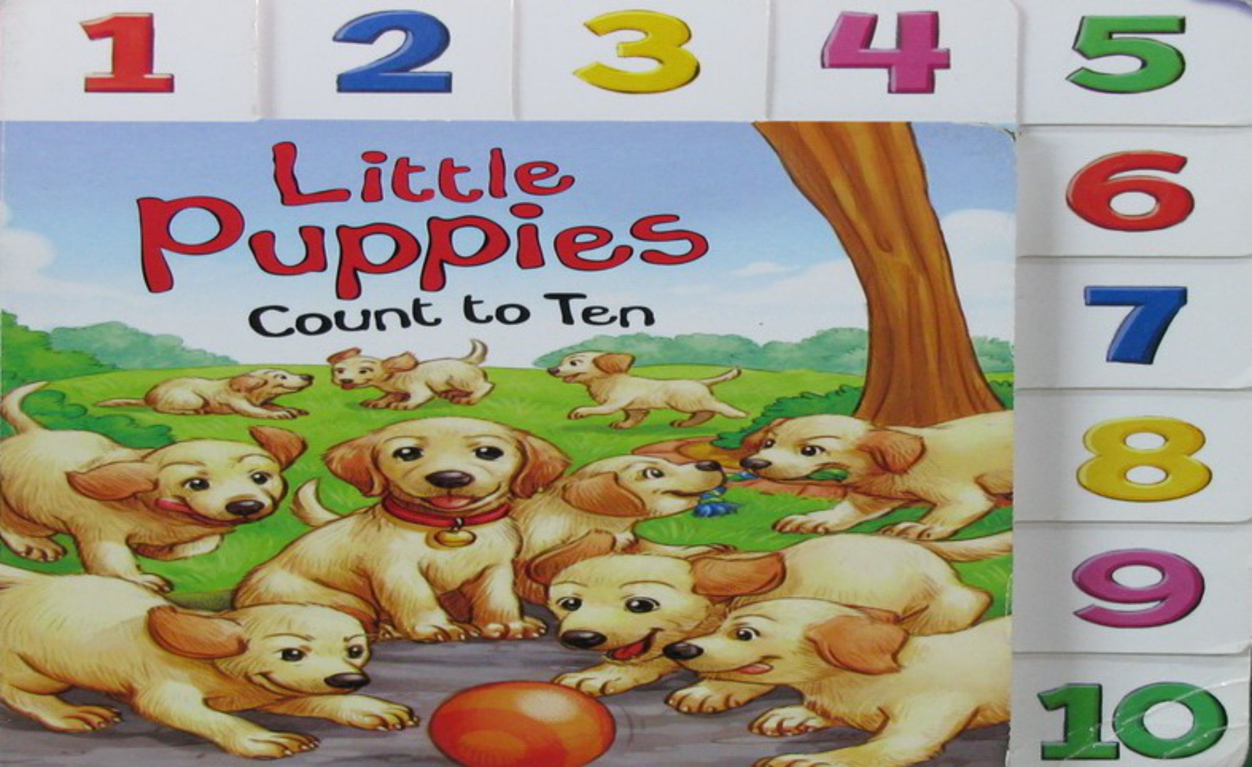 little puppies: count to ten