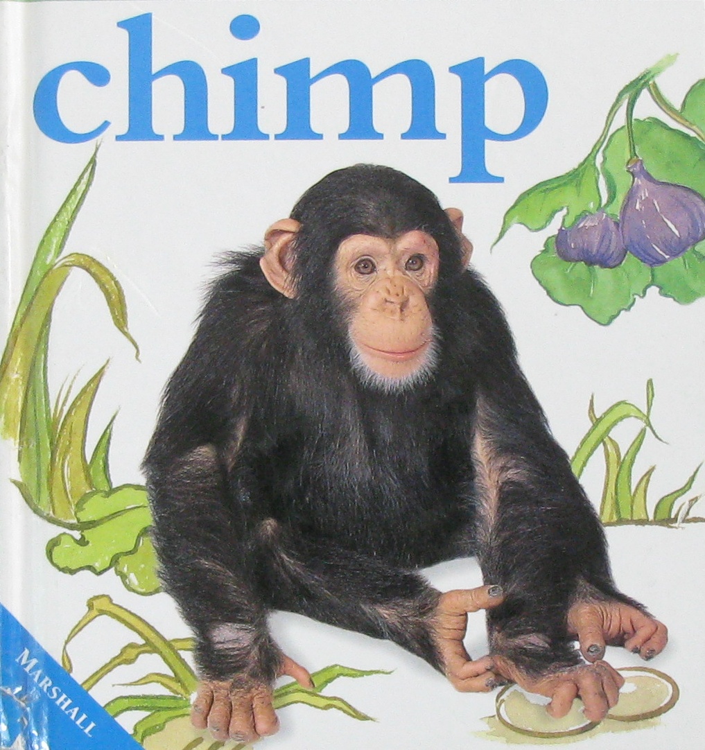 chimp (wild baby animals)