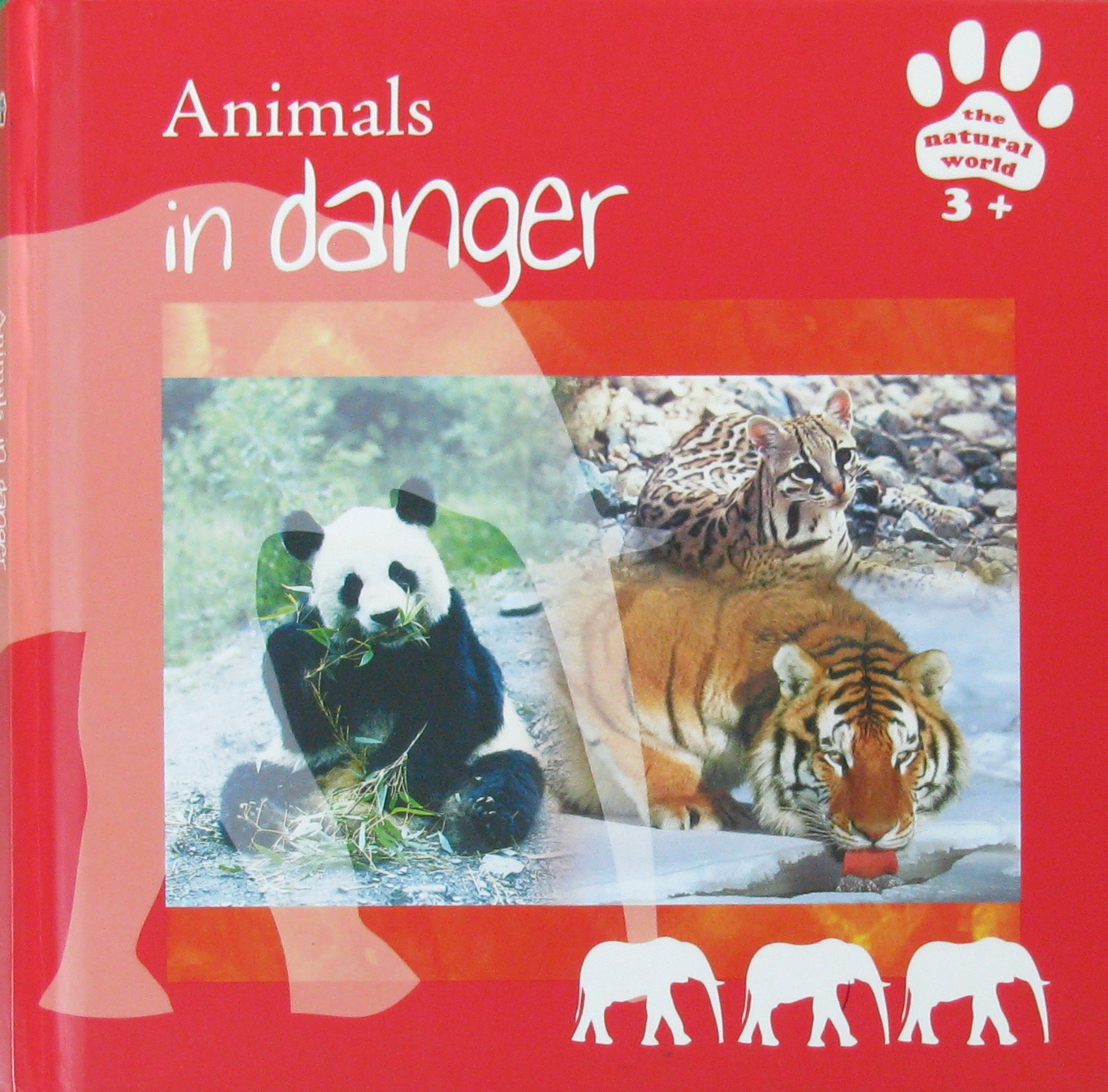 animals in danger