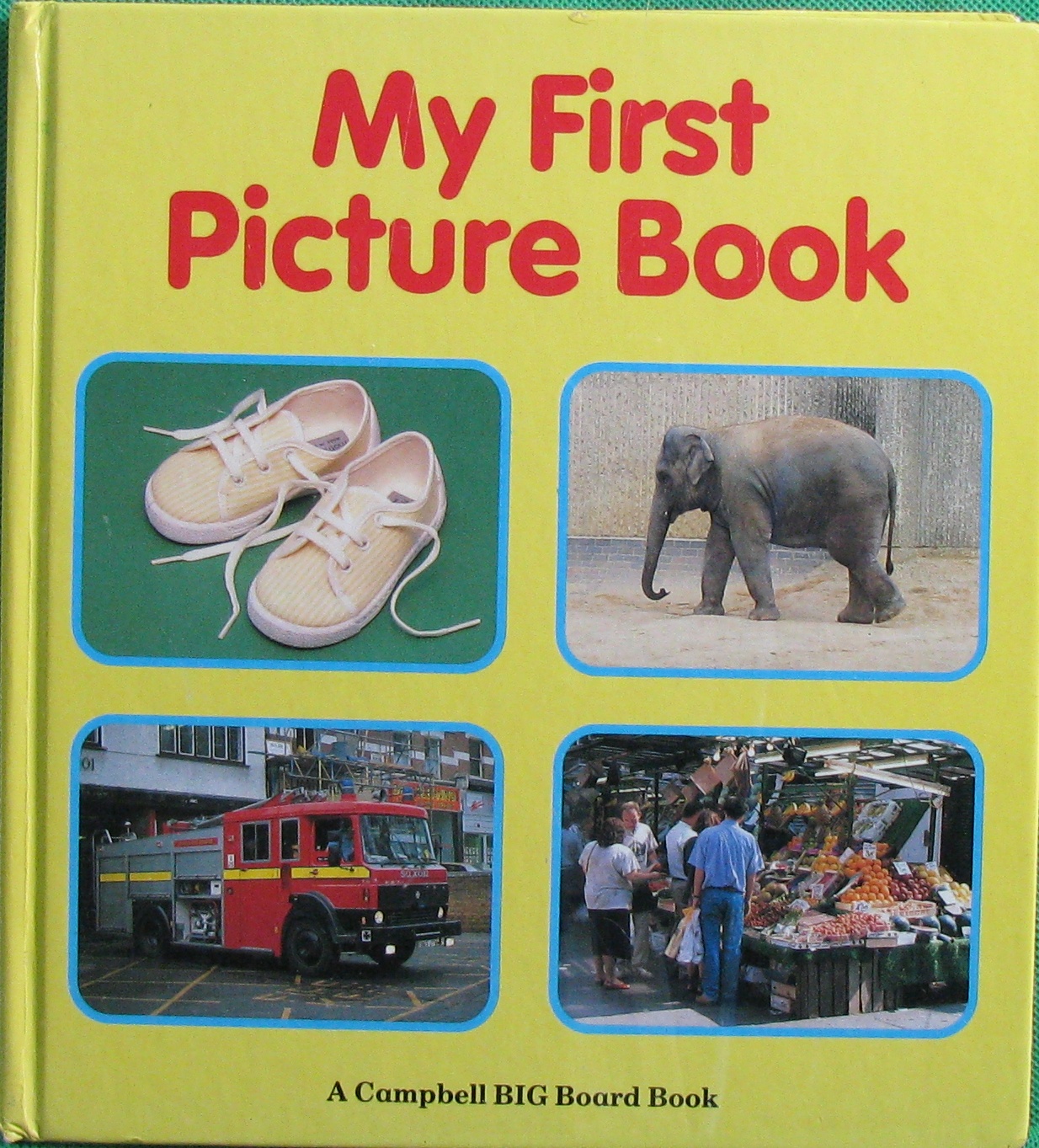 my first picture book