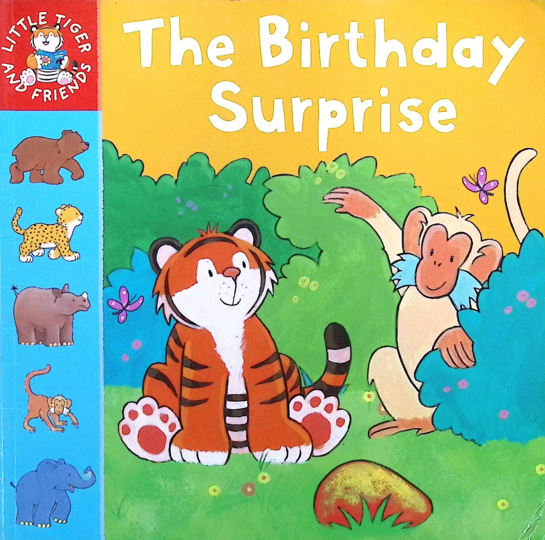the birthday surprise