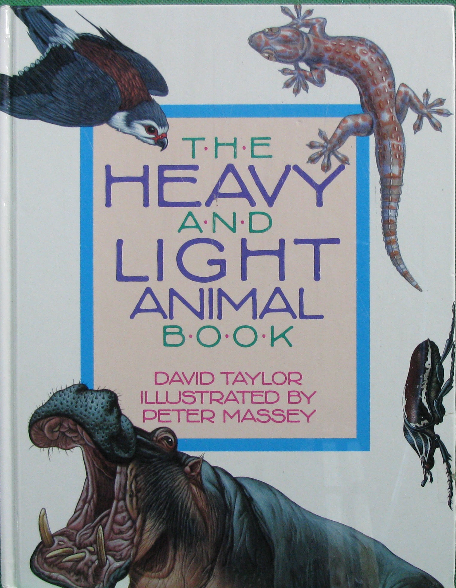 the heavy and light animal book