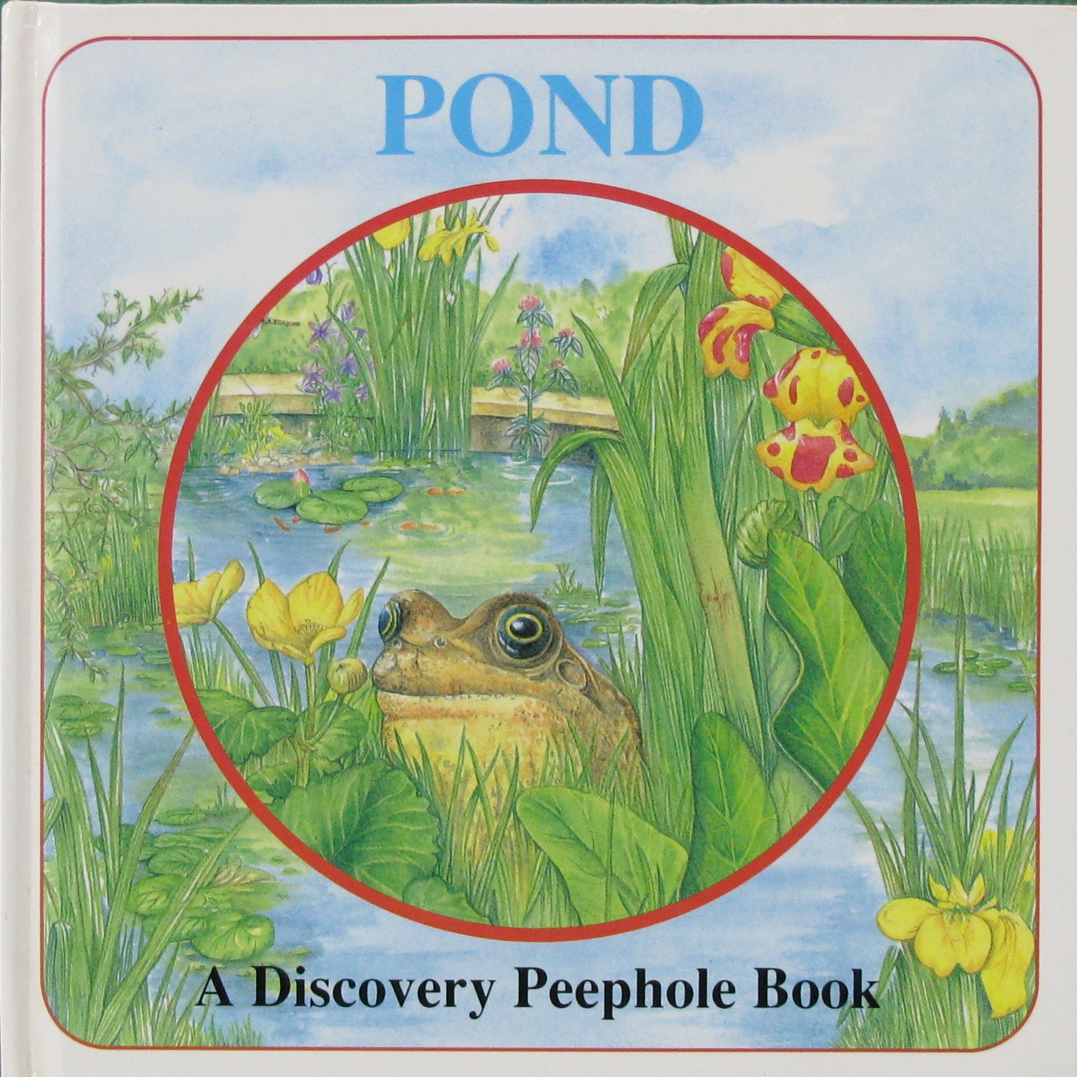 pond (discovery peepholes)