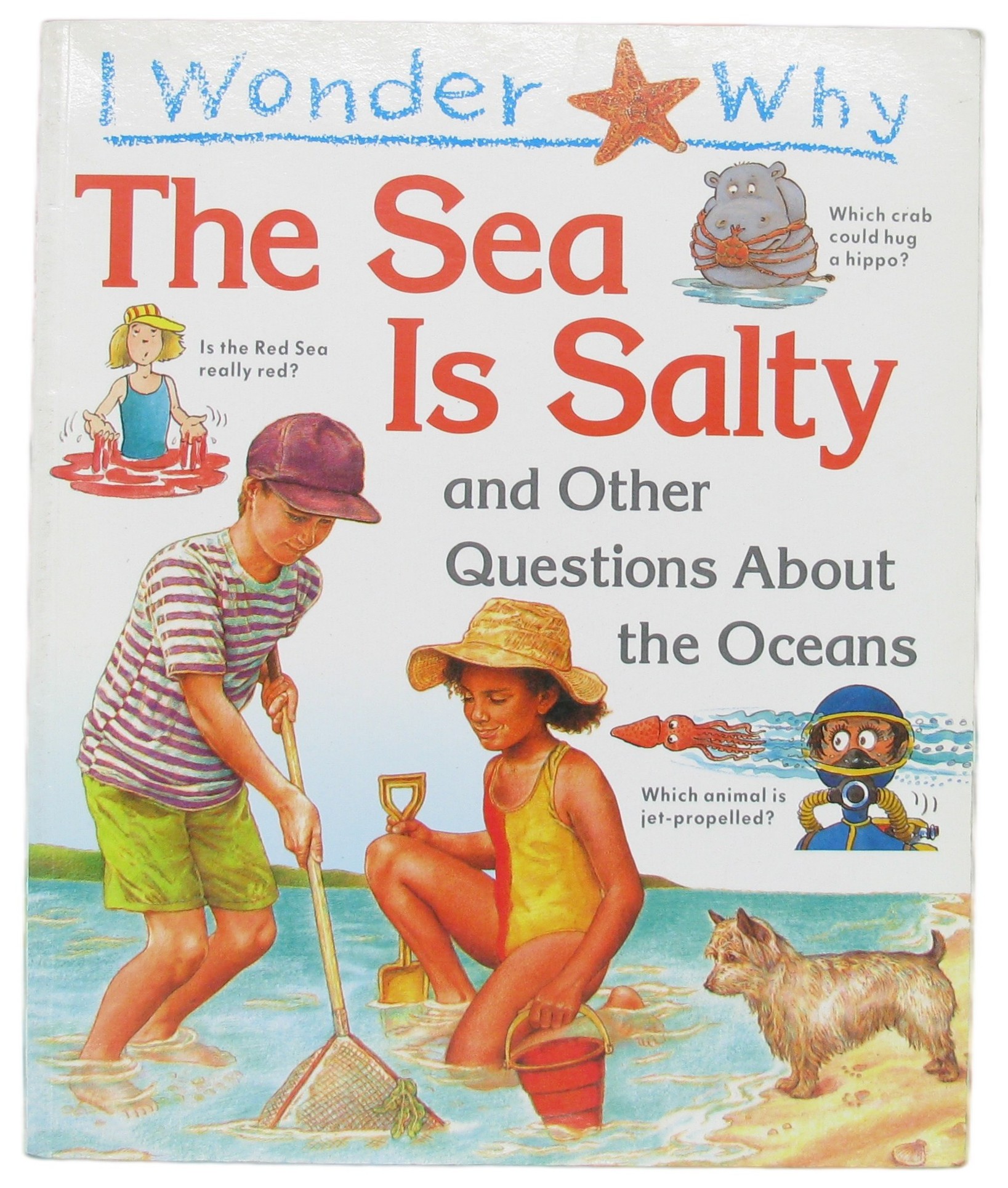 i wonder why the sea is salty and other questions about the