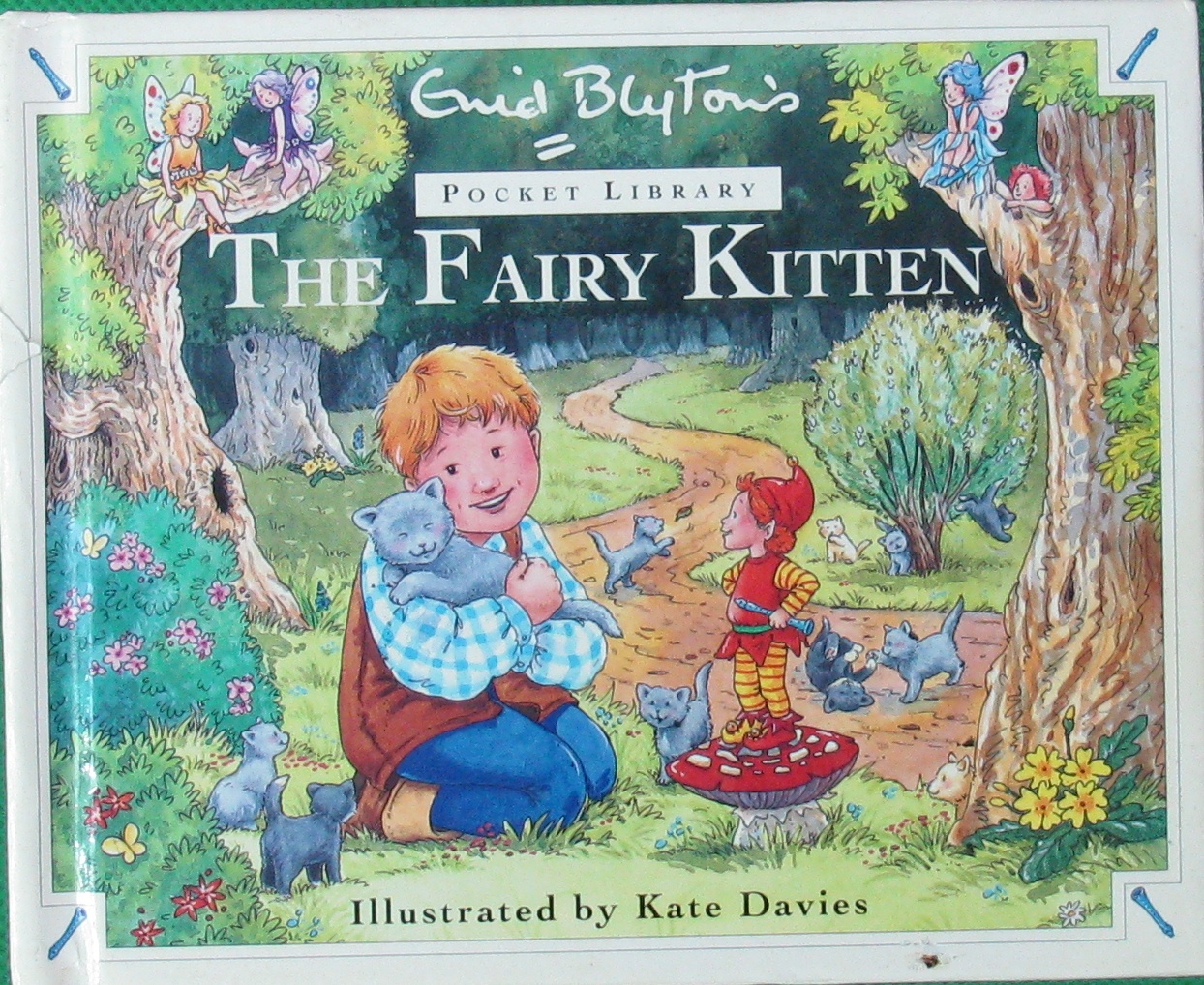 the fairy kitten