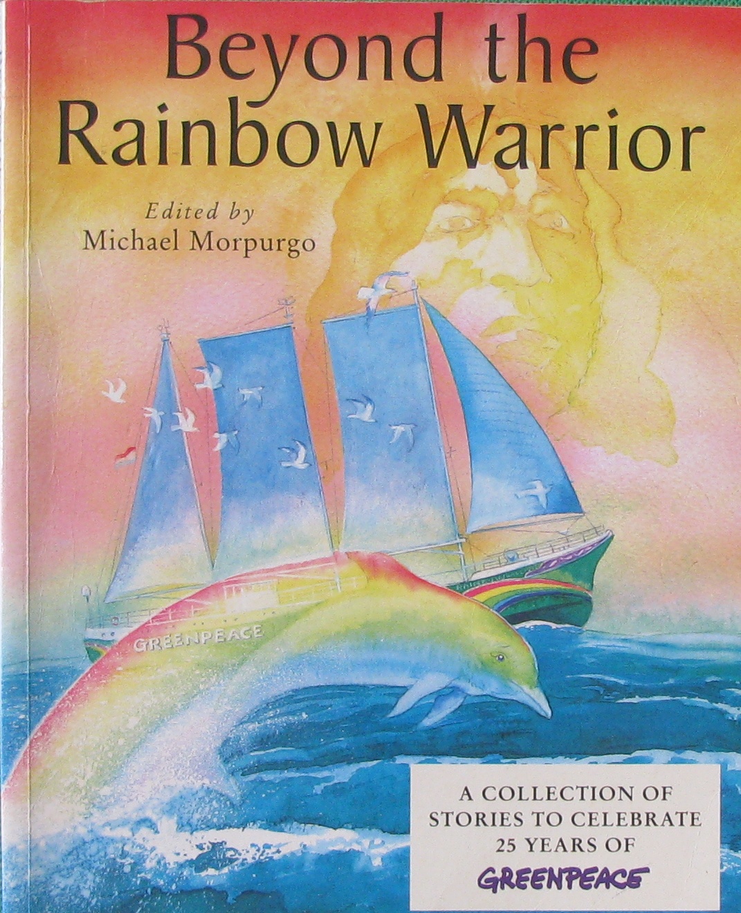 beyond the rainbow warrior