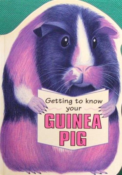 Do Guinea Pigs Like to Be Petted?