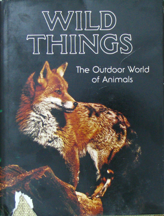 wild things the outdoor world of animals