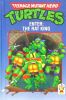 Enter : The Rat King (Teenage Mutant Hero Turtles - Ninja Turtles)