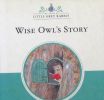 Wise Owl's Story (Little Grey Rabbit Classic Series)