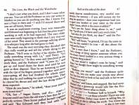 The Lion the Witch and the Wardrobe