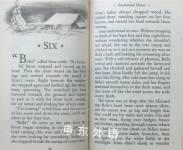 Enchanted Horse (Young Lions Storybook)