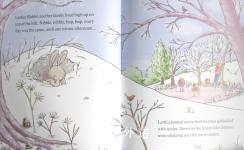 Ice Princess (Lettice)