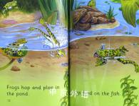 Pond Food