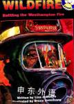 Battling the Westhampton Fire Lisa deMauro