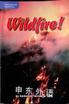 Wildfire! Katherine Talmadge Salle